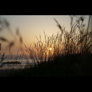 Meet your Posher, Cait